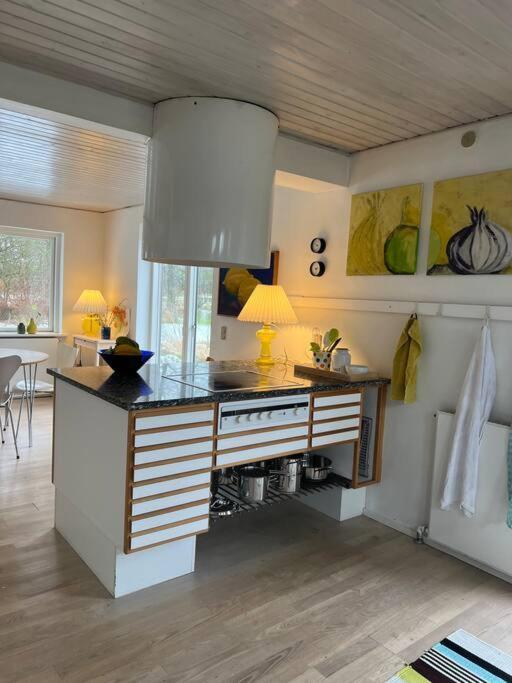 Skont Hus Pa Landet Taet Pa Billund Villa Give Ngoại thất bức ảnh