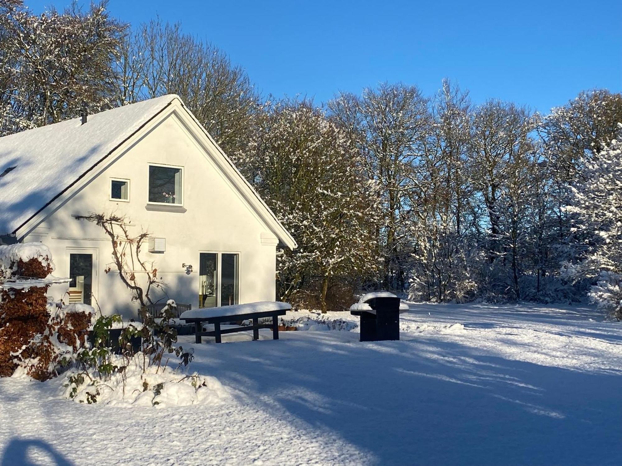 Skont Hus Pa Landet Taet Pa Billund Villa Give Ngoại thất bức ảnh